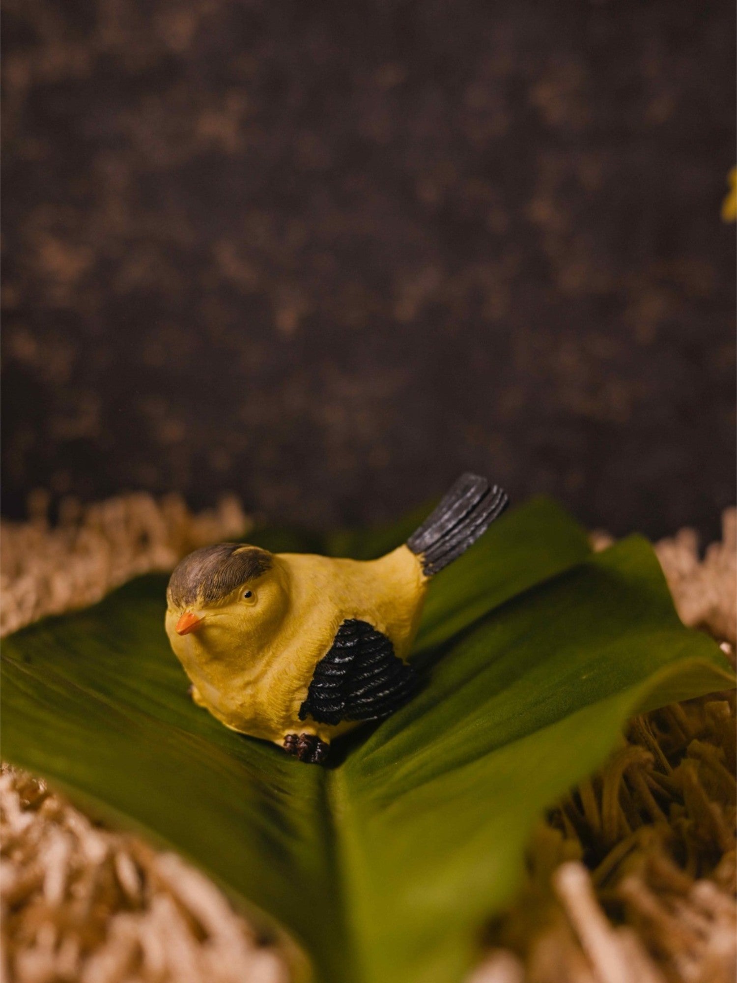 Elements of Piharwa wren bird decor