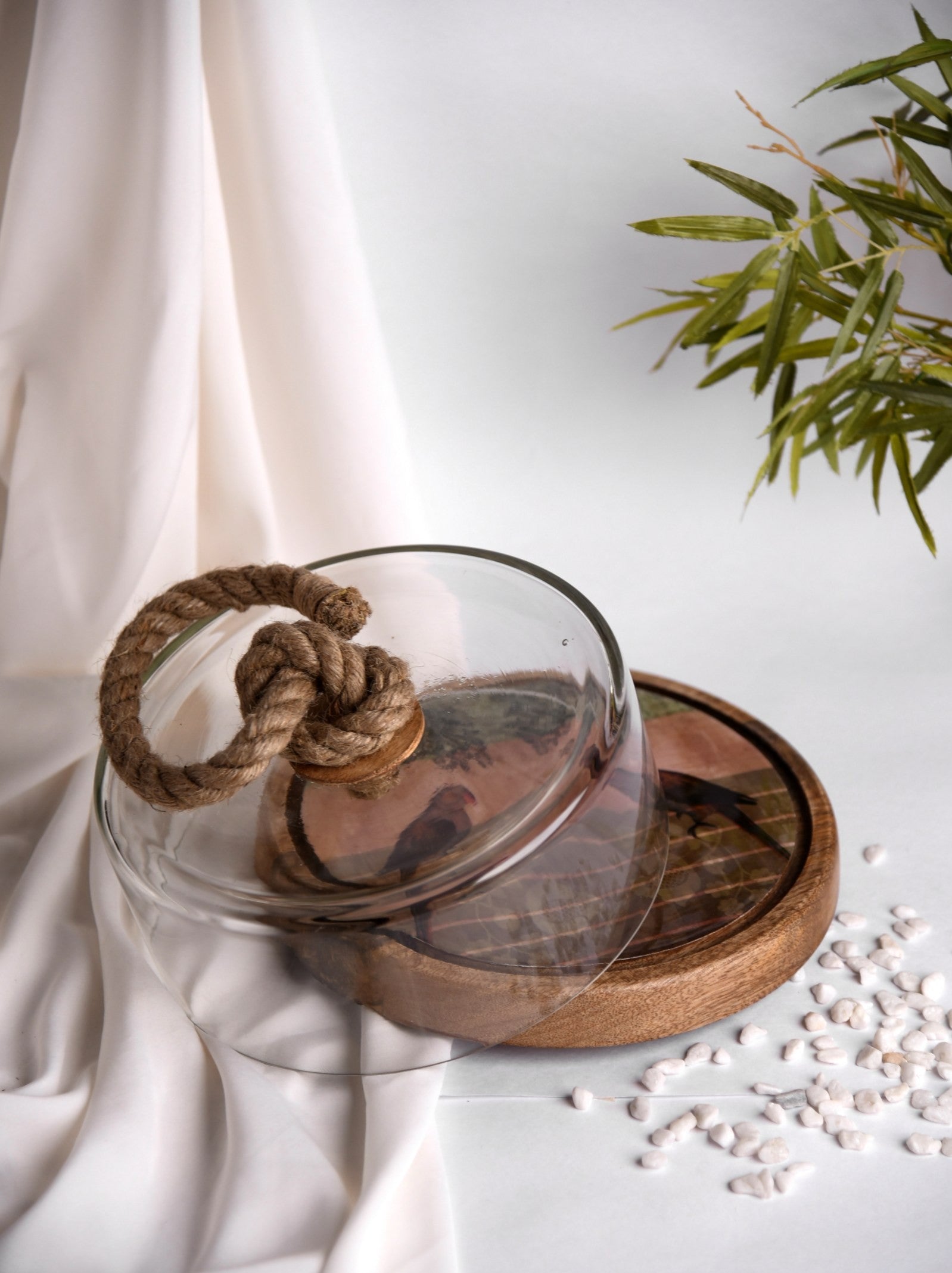 Elements of Piharwa Wooden Cake Stand with Glass Dome