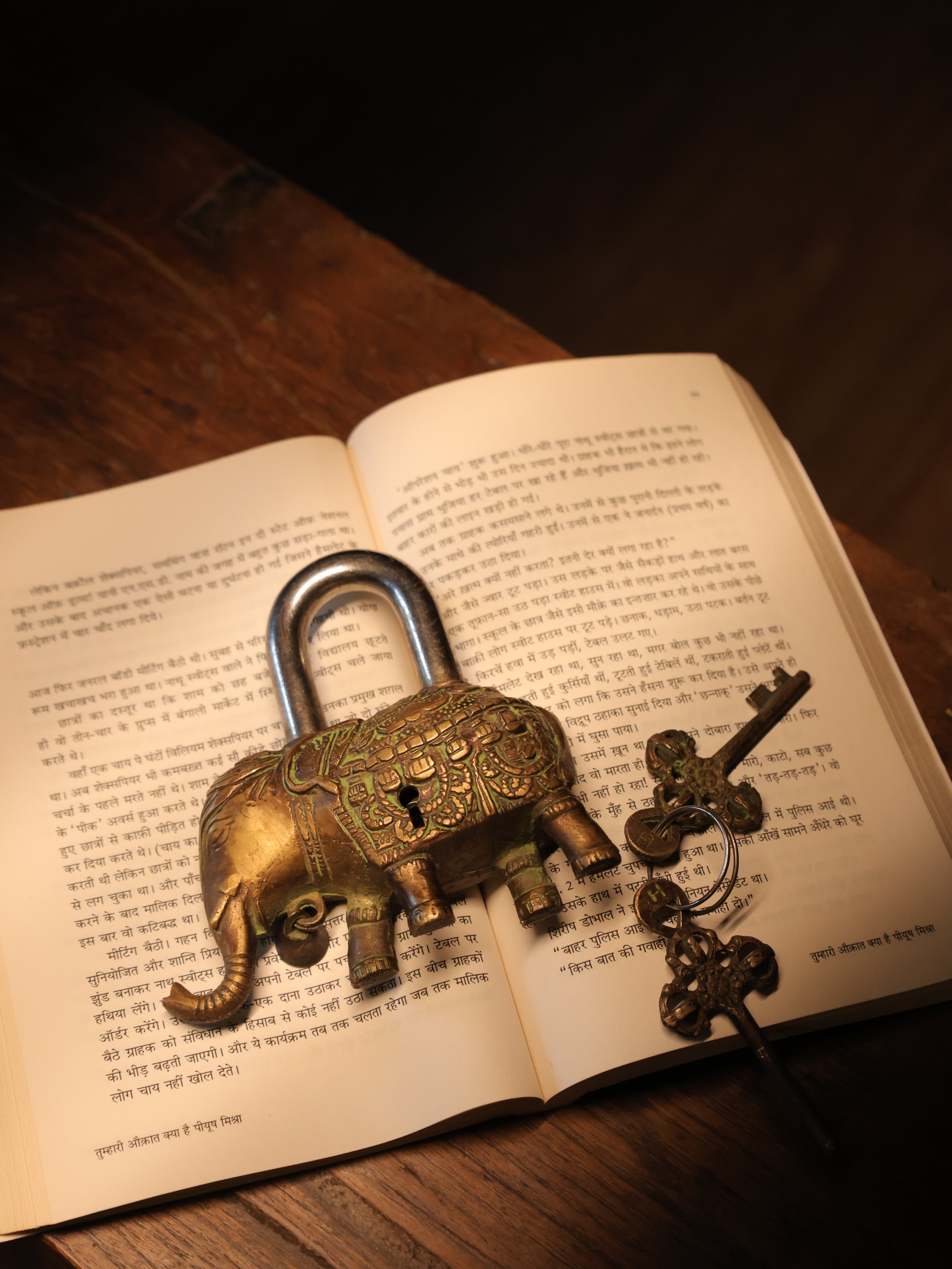 Decorative elephant-shaped padlock on an open book