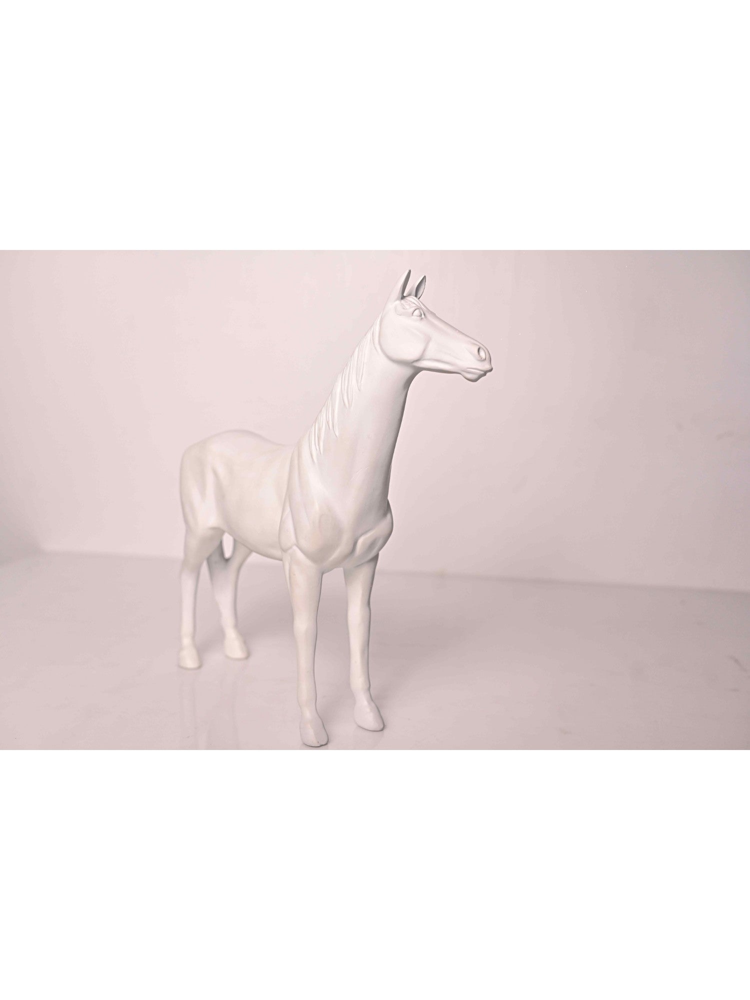 Elements of Piharwa White horse