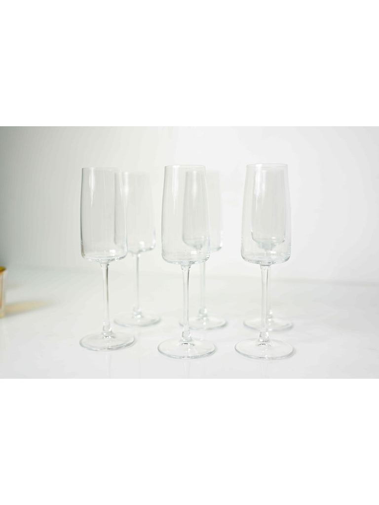 Elements of Piharwa Champagne glass ( Set of 6 )