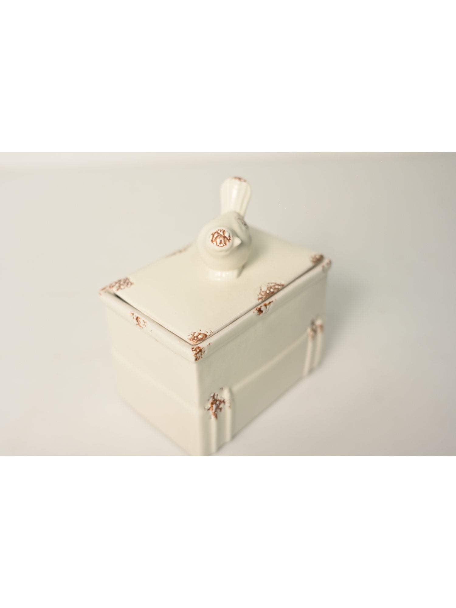 Elements of Piharwa Ceramic multipurpose container
