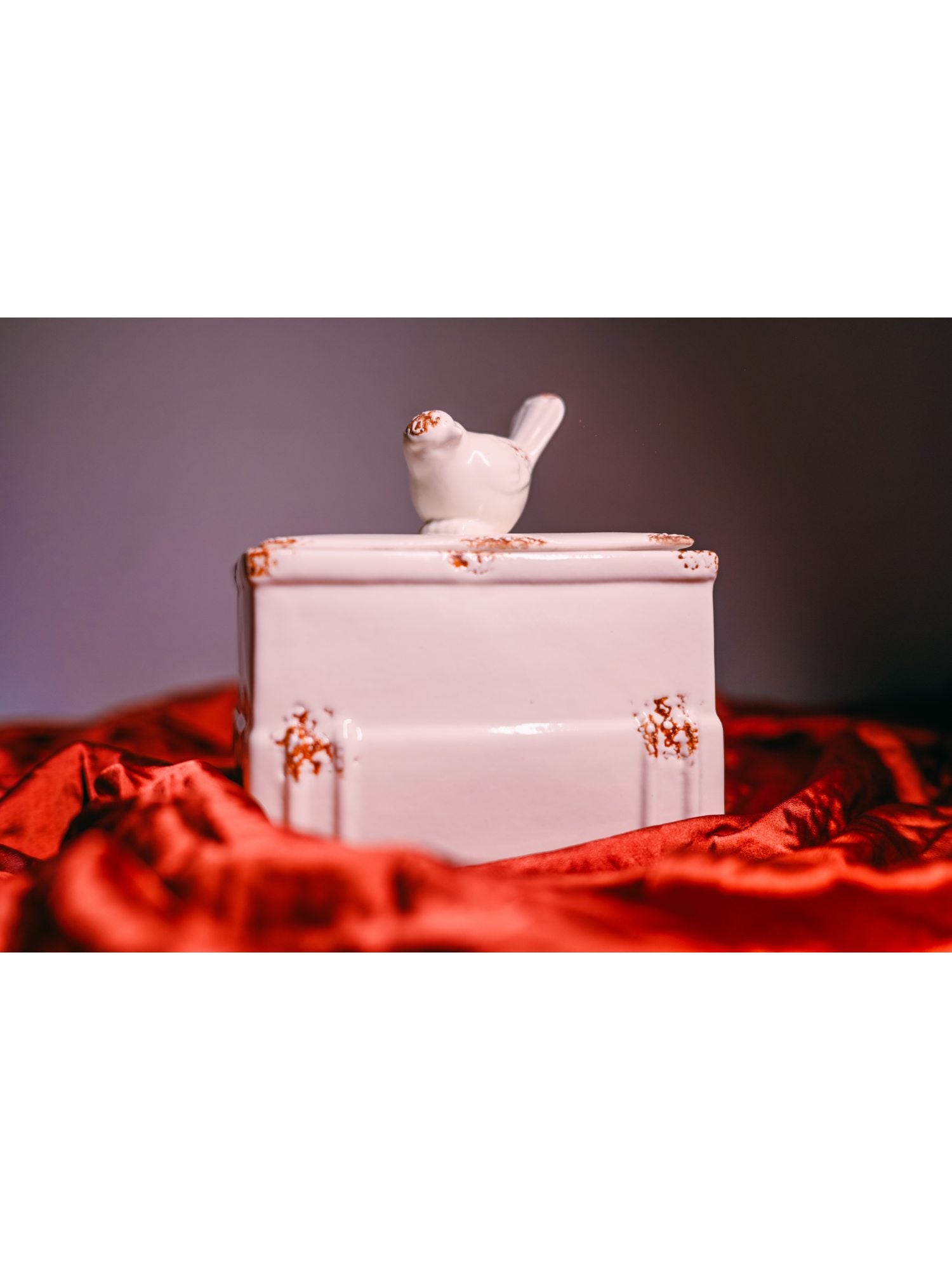 Elements of Piharwa Ceramic multipurpose container