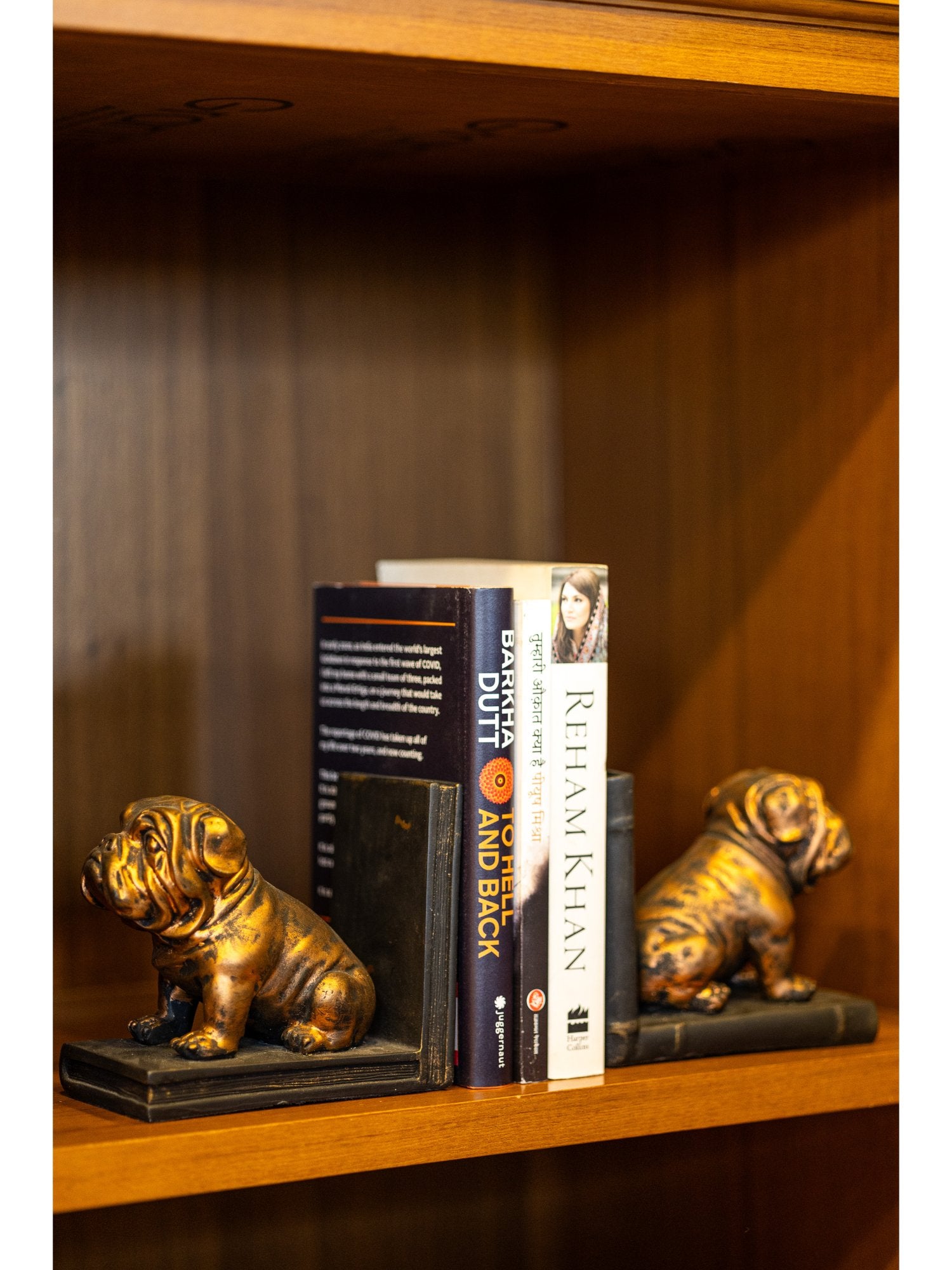 Elements of Piharwa Pitbull dog bookend