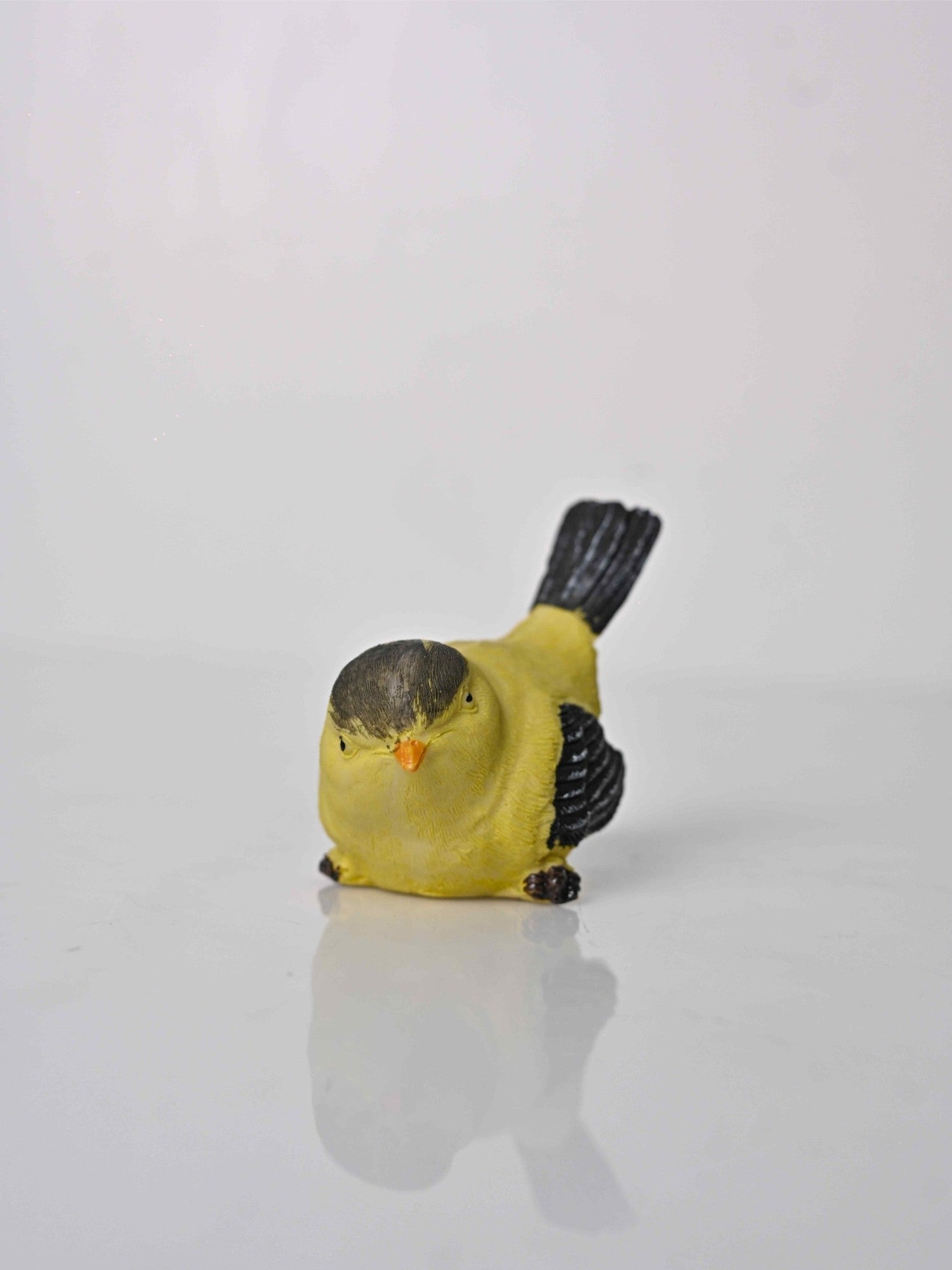 Elements of Piharwa wren bird decor