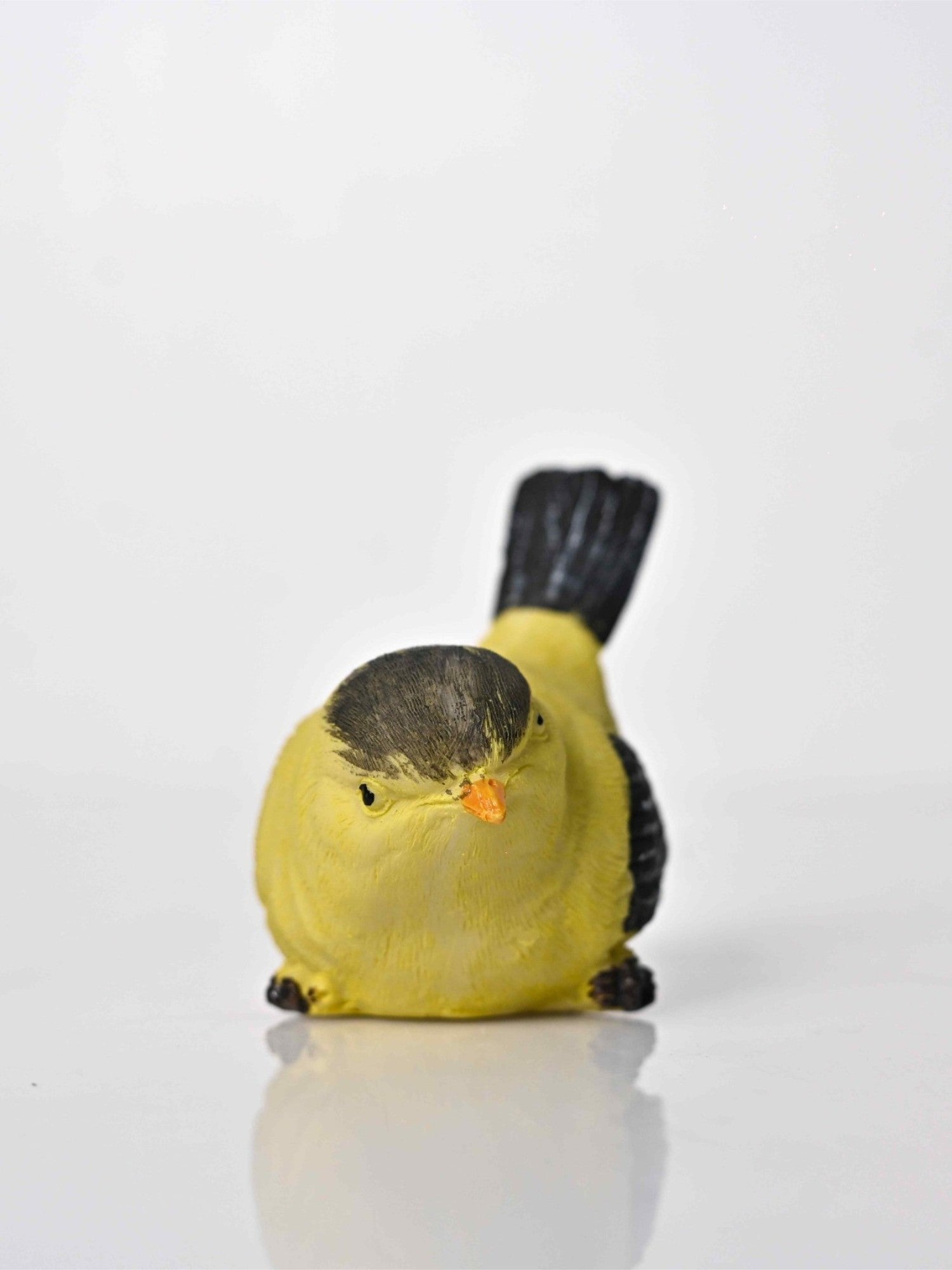 Elements of Piharwa wren bird decor