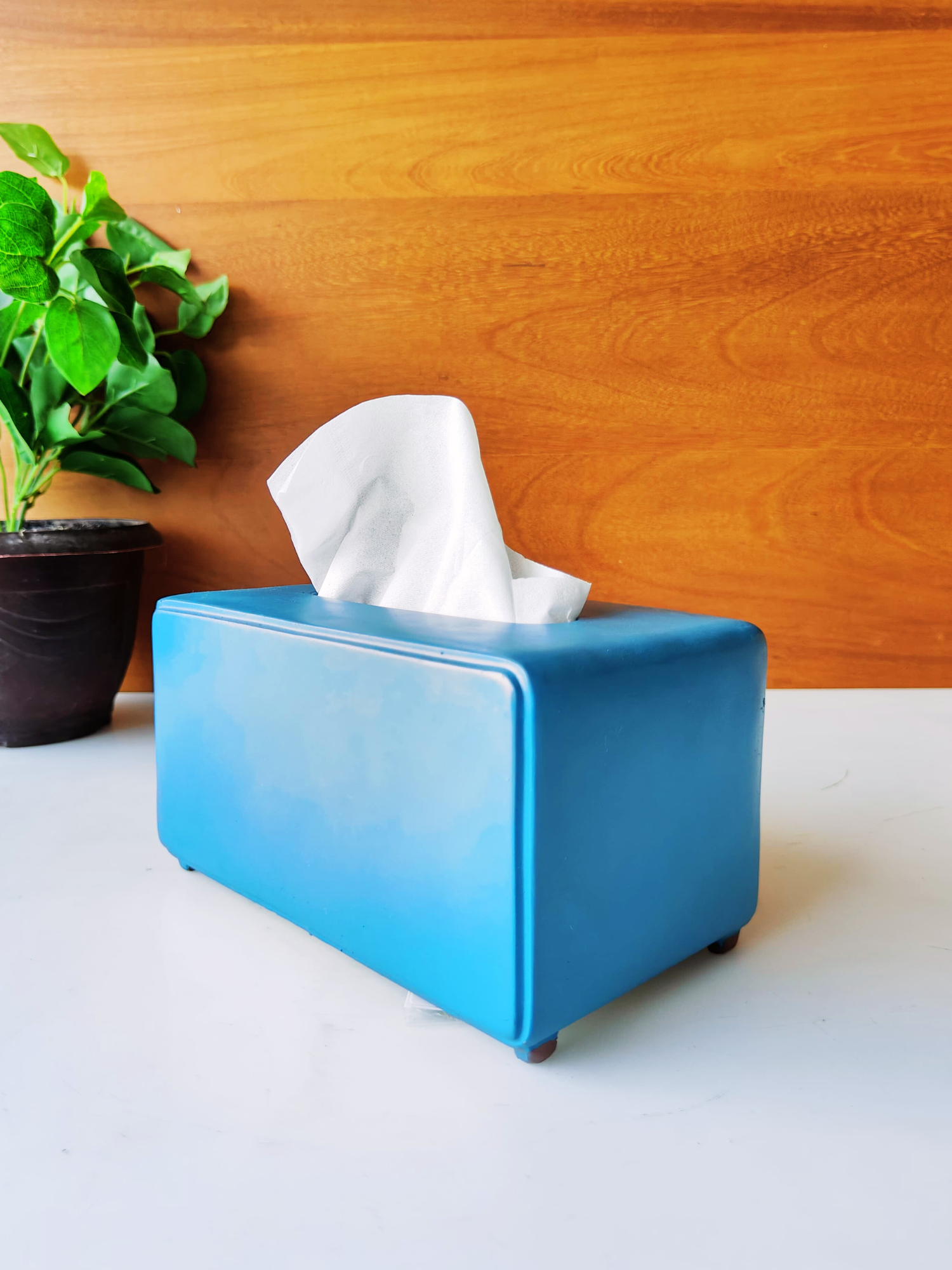 Elements of piharwa Retro Radio Tissue Box