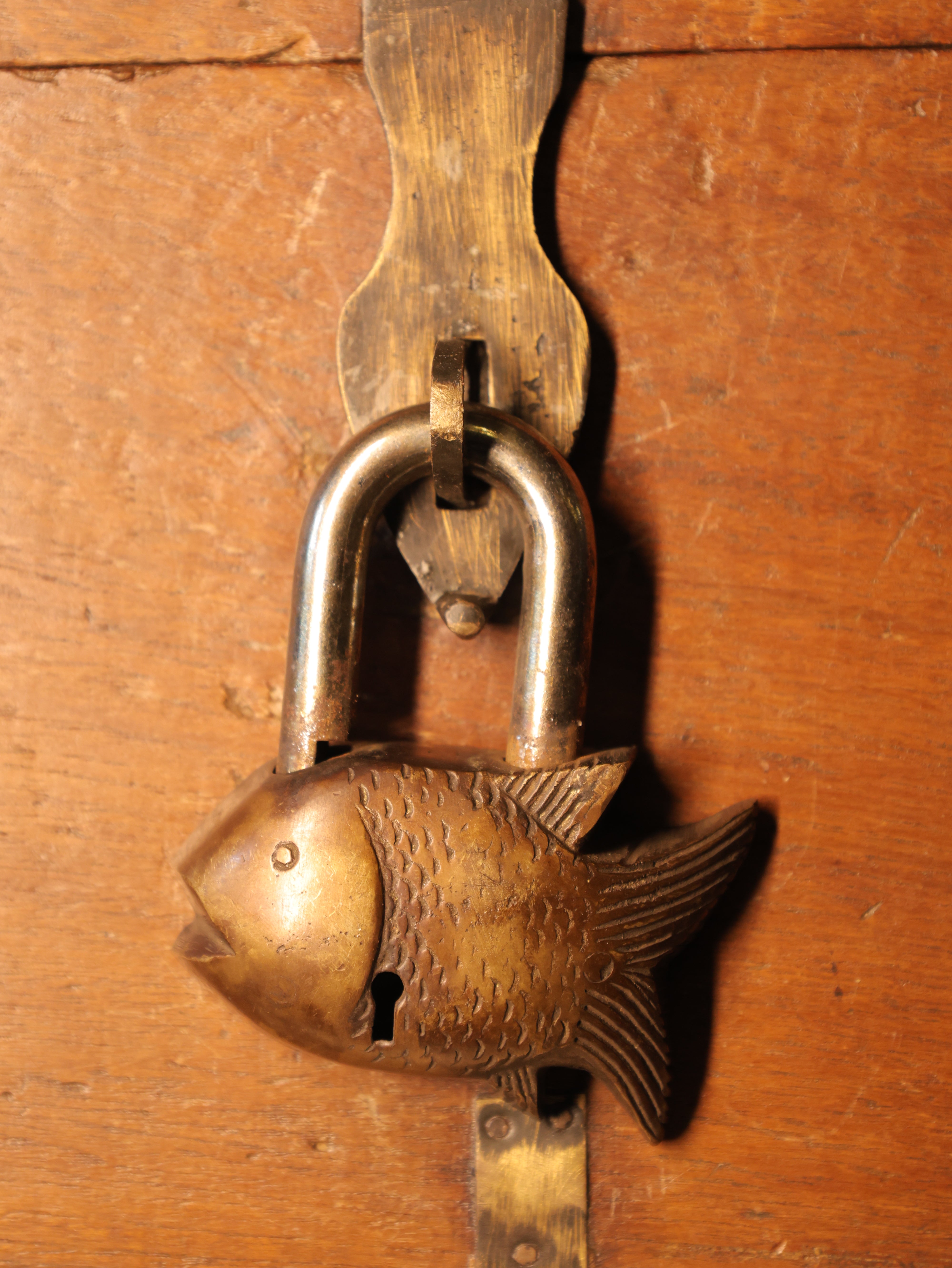Brass fish-shaped door latch on a wooden door